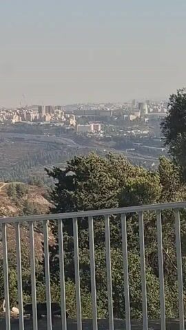 The video shows a wide panoramic view of a city from a hilltop vantage point. In the foreground, a white metal railing runs horizontally across the bottom of the frame. Behind the railing, lush green trees with dark trunks are visible, some with dappled sunlight filtering through their leaves. The middle ground features rolling hills with scattered residential buildings. These buildings have light-colored roofs and walls, and appear to be densely packed on the slopes. A winding path or road can be seen traversing the hillside. The background is dominated by the city skyline, characterized by numerous buildings of varying heights, including skyscrapers. The cityscape stretches across the horizon under a hazy, pale sky. The overall impression is of a sunlit day with a clear view of a sprawling urban landscape nestled within a hilly terrain.