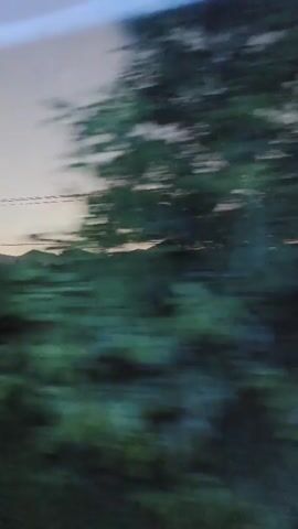 The video, shot from a moving vehicle, features a landscape during twilight. In the distance, a silhouette of mountains is visible against the pale sky. Closer to the foreground, there's a dark, dense area of trees and vegetation. Power lines stretch across the upper part of the view. There's motion blur due to the vehicle's speed.