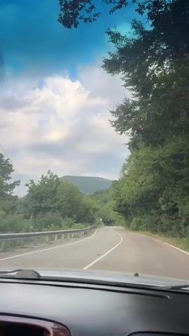The video is shot from the perspective of a passenger in a car, looking forward through the windshield. A paved road curves gently to the right, bordered by a metal guardrail on the left and dense green trees on the right. Hills covered in trees rise in the distance under a partly cloudy blue sky. The dashboard and part of the car's interior are visible at the bottom of the frame.