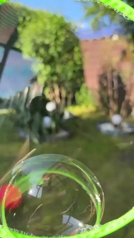 A large bubble is blown with a green bubble wand in a backyard on a sunny day. The backyard has green grass, trees, plants, small round lights in the ground, and a brown fence. The bubble floats for a moment before drifting out of view.