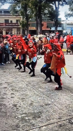 Festival dancers, sleeping kittens captured in Tinaquillo, Venezuela