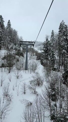 The video opens with a tranquil view from a ski lift on a snowy winter day. The camera is positioned looking forward and slightly downward, capturing the serene landscape as the lift moves along its cable.

In the mid-ground, a prominent, tall, gray metal ski lift tower stands robustly amidst the snow-covered terrain. Several empty chairlift seats can be seen hanging from the cable as they pass over or approach this tower. The thick black cable of the lift stretches diagonally across the upper right portion of the frame, disappearing into the distance.

The ground below is entirely blanketed in white, pristine snow. Scattered across the snowy slopes are numerous bare deciduous trees and bushes, their dark, intricate branches creating a stark contrast against the white backdrop. In the foreground, a subtle, darker indentation or track runs through the snow.

The background is dominated by a dense forest that stretches up the hillsides. Tall evergreen trees, heavily laden with fresh snow, stand majestically, their dark green branches peeking through the white. Interspersed among them are more bare deciduous trees, their silhouettes adding texture to the wintery scene.

The sky is a uniform, bright overcast gray, indicating a cloudy day, which enhances the soft, muted lighting of the snow-covered environment. The overall impression is one of peaceful, snowy wilderness, experienced from the elevated perspective of a smoothly moving ski lift. Ambient sound, possibly the gentle hum of the lift or distant wind, is present throughout the video.