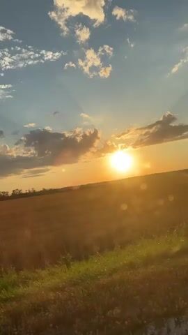 The media file captures a sunset over a harvested field, likely in Soglasny, Russia. The sun is a bright, golden orb positioned low in the sky, casting long rays through scattered, fluffy clouds. The sky transitions from a pale blue near the horizon to a deeper blue overhead. The field, a muted golden-brown, suggests stubble from a recent harvest, with patches of green grass growing along the edge of what appears to be a road or track. A line of trees is visible in the distance, silhouetted against the bright sky. To the right of the frame, a dense, green bush is prominently featured, its leaves catching the warm light of the setting sun. The overall atmosphere is peaceful and serene, evoking the feeling of a tranquil late afternoon or early evening. There is no visible text in the media file.