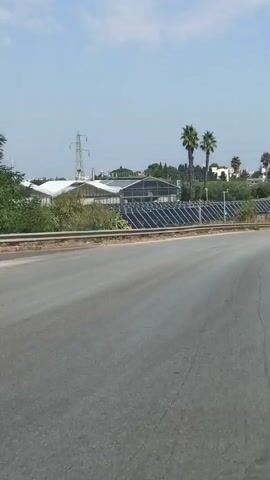 The video captures a roadside view of a solar farm situated next to greenhouses under a clear blue sky. The solar panels are arranged in neat rows, reflecting the sunlight. Behind the solar farm, several large greenhouses with white, translucent roofs are visible. Two tall palm trees stand out against the landscape, with more greenery and trees in the distance. Power lines and pylons can be seen further back, suggesting industrial or agricultural activity. The foreground shows a paved road with some debris and vegetation on the side. The camera appears to be moving, as indicated by the slight blur and shift in perspective.