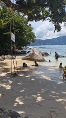 Patong Beach morning: swimmers, a rope swing, and clear water
