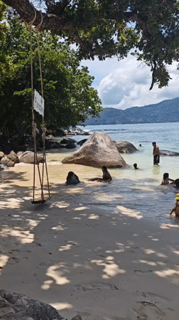 Patong Beach morning: swimmers, a rope swing, and clear water
