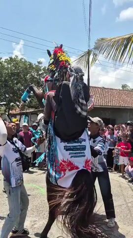 A horse is adorned with colorful decorations on its head and body, and a person dressed in black is riding it. The horse is being led by several people in a street or village setting, with a crowd of onlookers watching. Some of the people around the horse are wearing matching shirts with graphics. The scene appears to be part of a parade or cultural event. The weather is sunny.