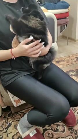A woman sits in a chair holding a small black dog. The woman is wearing a black t-shirt with a teddy bear on it, black leggings, socks and red slippers. She has long dark hair and long white fingernails. The dog is small and fluffy. The woman is petting the dog. A rug with a floral pattern is on the floor. There is a chair behind the woman with a blanket and a purse on it. There is also music playing.