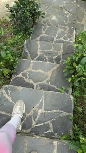 Tourist explores Ta Xua mountain terraces in northern Vietnam