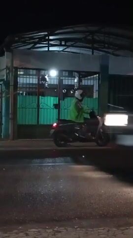 At the beginning of the video, a white truck with a yellow stripe on its side is seen moving from left to right. The road appears wet, with some small puddles reflecting the lights. A portion of a green fence is visible on the right side of the frame. As the video progresses, a dark-colored car with its headlights on is seen moving from left to right. A person on a scooter, wearing a helmet, is also visible behind the car, moving in the same direction. The car's taillights are illuminated. The background shows buildings and streetlights, indicating an urban environment at night. Some plants are in the foreground on the right side of the frame. The video has a motion blur effect due to the movement of the vehicles and possibly the camera.