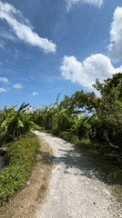 Family ATV rides captured on Kerambitan beaches early morning