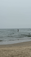 Morning beach activities and city life captured in Đà Nẵng