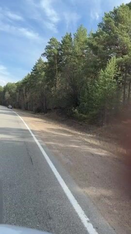 The video, filmed from a moving vehicle, showcases a daytime journey along a two-lane road in Znamenka, Russia. The road features a solid white line delineating the right shoulder and a dashed white line separating the lanes. To the right of the road, a dense forest stretches along the horizon, consisting mainly of tall pine trees interspersed with some bare deciduous trees, suggesting late winter or early spring. The sky above is clear and blue with scattered white clouds, indicating sunny weather.

As the filming car progresses, it approaches and passes two vehicles parked on the dirt shoulder on the right side of the road. First, a silver sedan is visible, parked close to the white line. Immediately behind it is a black SUV, also parked on the shoulder. Both parked vehicles are facing the same direction of travel as the filming car. Further down the road, a large truck can be seen in the distance, moving in the opposite direction. No specific activities involving the parked vehicles are discernible, nor is any readable text visible on them. The overall scene depicts a typical drive along a forested highway.