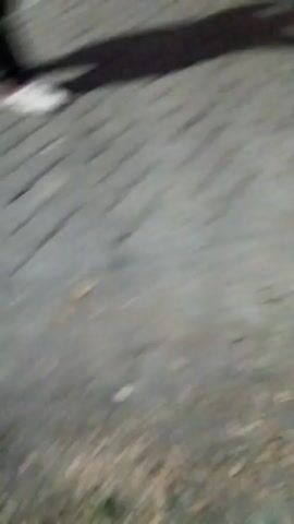 The video shows a decorated truck with flashing blue lights and a sound system on top. The truck is yellow and white and has some writing on the side that is difficult to read. There are people on top of the truck and around it. There is also a motorcycle parked next to the truck. The scene appears to be a street at night, with some buildings and trees in the background. The overall impression is that of a lively event or celebration.