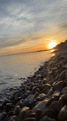 Family sunset gathering captured at pebble beach during golden hour
