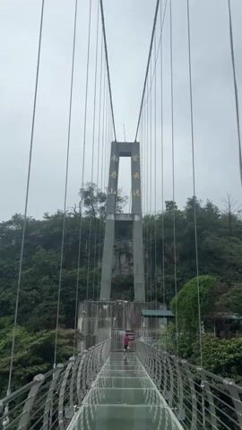 A person with blonde curly hair wearing a white dress stands on a glass-bottomed suspension bridge. The bridge has metal railings and is suspended over a lush, green, mountainous landscape. The sky is overcast. The person is looking out at the scenery. The bridge has a large concrete support structure with Chinese characters on it.