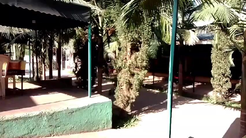 The camera is inside a vehicle, possibly a golf cart, moving through a park-like area. The area is decorated with palm trees and various smaller bushes. There are covered seating areas with green concrete bases scattered throughout. Sunlight streams through the foliage, creating bright and shady spots. In the distance, a small building with an open storage area is visible. The camera's perspective is from the driver's seat, showing the view through the front windshield. The overall impression is a relaxed, outdoor setting.