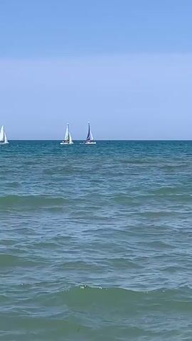 The video captures a wide shot of a blue ocean under a clear sky. Several sailboats are visible on the horizon, moving across the water. The waves are moderate, creating a textured surface on the sea. The focus is on the sailboats and the vast expanse of the ocean.