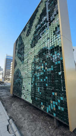 Moving mosaic structure observed in Yekaterinburg, Russia
