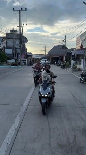 Daily life scenes captured in Ko Tao: scooters, ocean, tourists