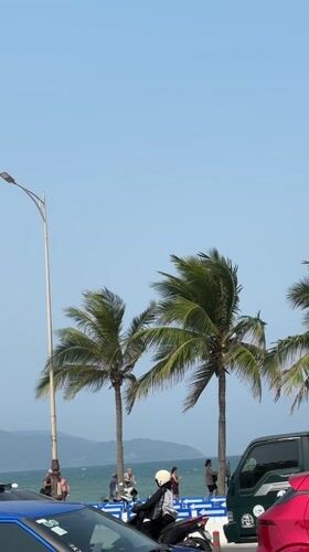 Morning scenes captured along Da Nang's busy waterfront district
