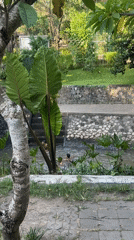 Two people bathe in landscaped stream in Denpasar