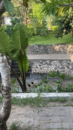 Two people bathe in landscaped stream in Denpasar
