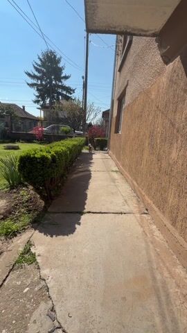 A small Yorkshire Terrier runs on a cement path. The path has grass and greenery on the left, and a tall building with an orange wall on the right. The dog runs towards the camera. A man in white pants is sitting to the right of the path. The dog runs up to the man. He is petting the dog. The day is sunny.
