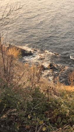 Sozopol, Bulgaria