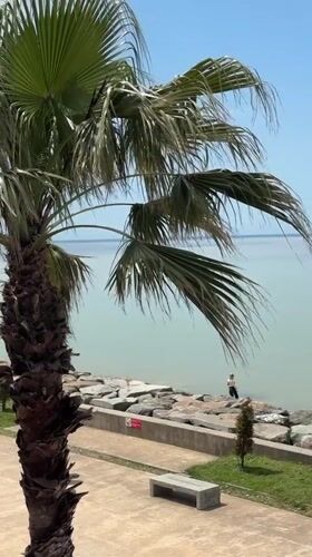 Casual coastal moments captured in Batumi, Georgia seaside community