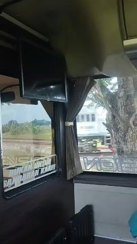 The video shows the interior of a bus traveling alongside a train track. Through the bus window, a train car with the Pertamina logo is visible. A large tree is positioned between the bus and the train tracks. The bus interior features a dark wood paneling, a television screen mounted on the ceiling, and gray curtains. The seats are covered with blue fabric and a blue blanket is draped over one of them. The lighting suggests it is daytime.
