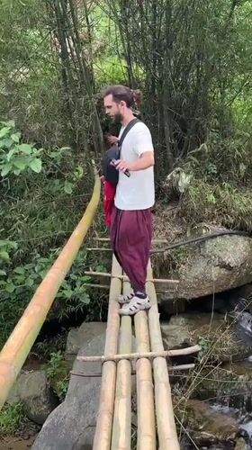 Morning scenes captured in Ban Ho: bridge crossing, butterfly encounter