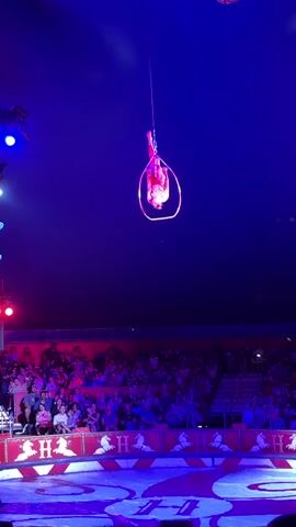 In a dimly lit circus tent, a lone aerialist performs a graceful routine suspended from a single rope and a hoop. The acrobat, clad in a sparkling pink costume, is illuminated by spotlights that cast vibrant purple and red hues across the dark backdrop. Below, a captivated audience fills tiered seating, their faces turned upwards towards the spectacle. The atmosphere is one of awe and wonder, as the aerialist executes complex poses and fluid movements, showcasing incredible strength and artistry. The circus ring below, with its distinctive red and white striped border, hints at the grand tradition of circus entertainment. The scene captures a moment of breathtaking performance, where human skill and artistic expression take center stage.