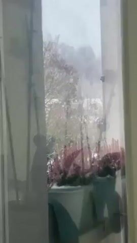 The video shows a view from inside a building looking out a window. Outside, it is snowing. There are plants, including heather, in pots on the window sill.