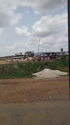 The video, shot from a moving vehicle, pans across a rural landscape under a cloudy sky. Initially, a large herd of goats is visible on a dirt patch near several parked trucks. People are scattered among the goats, seemingly herding or tending to them. As the view shifts, the camera reveals a small, hut-like structure, possibly a market or gathering place. Construction materials, including stacks of concrete blocks, are visible, along with a blue truck. A dark-colored car with its hood open is parked on the side of the road. The environment is dusty, with a mix of dirt roads and sparse vegetation.