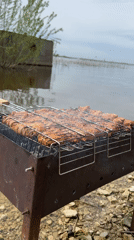 Outdoor grilling and wading observed near Russian shoreline
