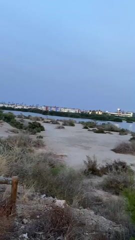A wide shot captures a natural landscape with a body of water and vegetation in the foreground. The sky is a clear, pale blue, suggesting either early morning or late evening. In the distance, a line of buildings and structures are visible along the horizon, with some lights illuminated. The terrain in the foreground consists of dry, sparse vegetation and sandy soil. The video pans slightly to the right, revealing more of the water and the distant structures. The overall impression is one of a serene, natural setting with human development encroaching on the periphery.