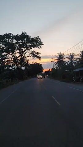 A car drives down a dark asphalt road, the headlights on, with trees silhouetted to the left.  A utility pole is to the right, with palm trees behind it. The sun sets behind the trees ahead, casting an orange glow across the horizon. Another car passes the camera’s car. Then a large truck passes the camera’s car. The sky is an evening blue-gray with clouds.