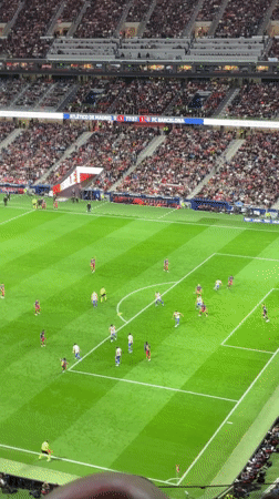 Soccer match between red and blue teams observed in Madrid stadium