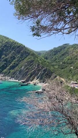 A high-angle drone shot pans across a scenic coastal view. The deep blue ocean dominates the foreground, with several white sailboats and yachts dotted across its surface. The water transitions to a vibrant turquoise as it approaches a secluded cove. This cove features a small, rocky beach backed by steep, tree-covered hills. The lush green foliage blankets the mountains, creating a dramatic backdrop against the clear blue sky. In the foreground, the bare branches of a dead tree frame the lower right corner of the shot, adding a stark contrast to the vibrant life of the scene.