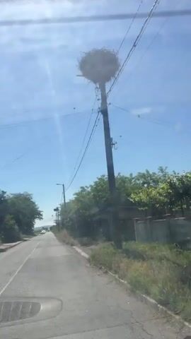The video shows a view from inside a vehicle driving on a paved road. The road is flanked by trees and vegetation. Utility poles with wires are visible along the side of the road. The sky is clear and blue, suggesting a sunny day. In the distance, a few other vehicles are visible on the road. The windshield of the vehicle appears to be slightly dirty. The video is shot from a fixed perspective within the moving vehicle.