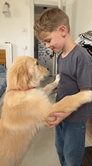 Boy plays with golden retriever in Netanya bedroom