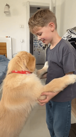 Boy plays with golden retriever in Netanya bedroom