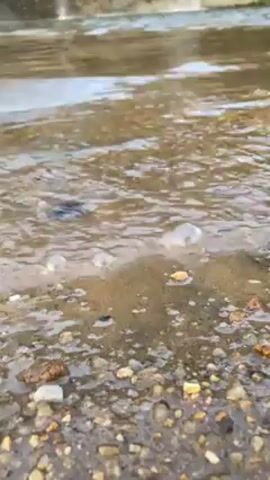 The video shows water flowing over a paved surface covered in small pebbles. The water is brownish and has some bubbles on the surface. The background is blurred, but appears to be a stone wall or structure.