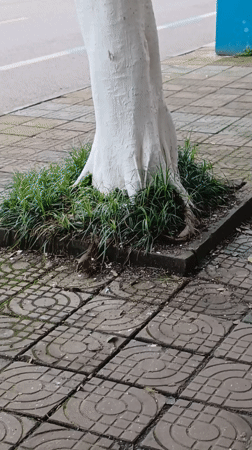 Man photographed seated in chair in Chongqing High-tech Zone