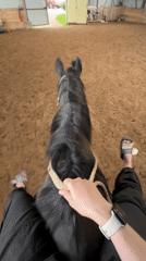 Horse grazing and riding session documented in Slashchevo, Russia