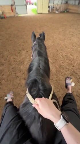 Horse grazing and riding session documented in Slashchevo, Russia