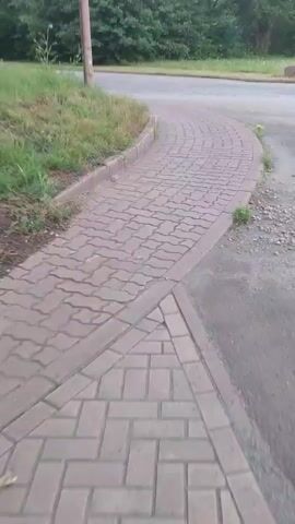 The video shows a sidewalk made of interlocking pavers, curving to the right. The sidewalk is bordered by a curb and grass on the left, and gravel and a road on the right. The camera is moving forward, indicating the perspective of someone walking or running on the sidewalk. The background shows trees and greenery.