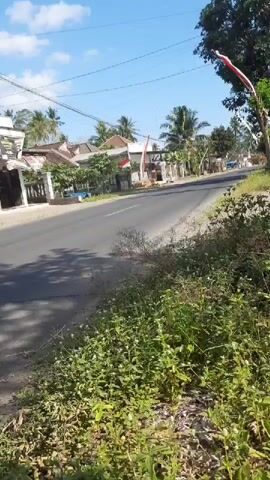 A motorcycle with one rider wearing a pink shirt passes on a paved road lined with vegetation and houses. The sky is clear and blue with a few clouds. There are palm trees and utility poles visible. Indonesian flags are displayed at some houses. The video is shaky, suggesting it was filmed while moving.