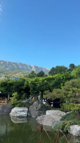 A vertical video captures a serene Japanese garden scene under a clear blue sky. In the foreground, a calm body of water reflects the lush greenery surrounding it, with large rocks and cattails emerging from the water's edge. Beyond the water, a vibrant red arched bridge spans across the landscape, adorned with railings and wooden supports. On the bridge, a person in dark clothing with a red backpack walks from left to right, briefly pausing before continuing. Further in the background, a dense forest of green trees and various plants create a lush backdrop. In the distance, majestic mountains rise, their peaks etched against the bright sky. The overall atmosphere is peaceful and picturesque, showcasing the beauty of nature and cultural elements of the garden.